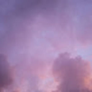 Meet your Posher, Tamara